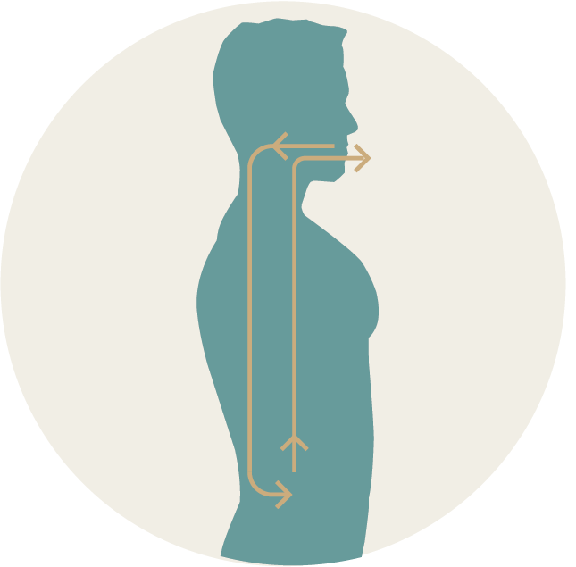 Instrumental Living and Breath Awareness